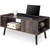 Modern Mid-Century Coffee Table Living Room Storage