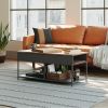 Farmhouse Lift-Top Multi Purpose Coffee Table