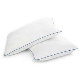 Set of 2 Memory Foam Pillow with Removable Machine Washable Cover (size: King)
