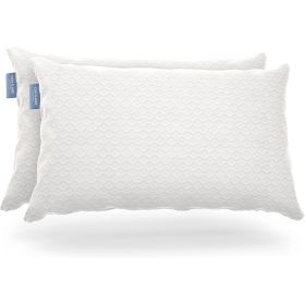Queen Shredded Memory Foam Pillows with Luxury Bamboo Breathable Cover (Option: 2)