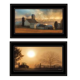 Trendy Decor 4U Framed Wall Art, Modern Home Decor Framed Print for Living Room Bedroom ect. (Option: Light Of Day Collection)